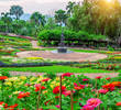 Top 5 Famous Flower Gardens In Bangalore